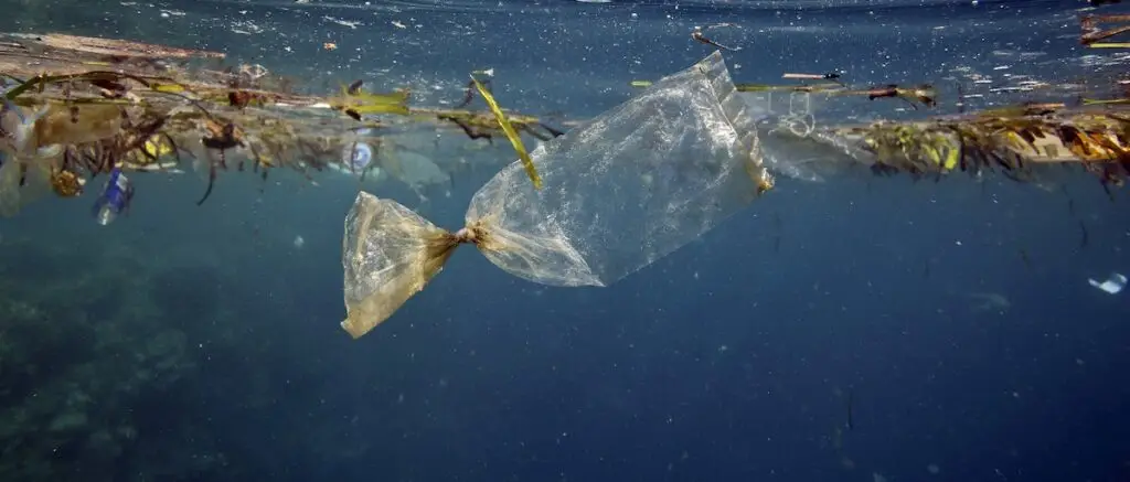 Plastic Ocean