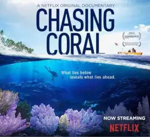 Chasing Corals